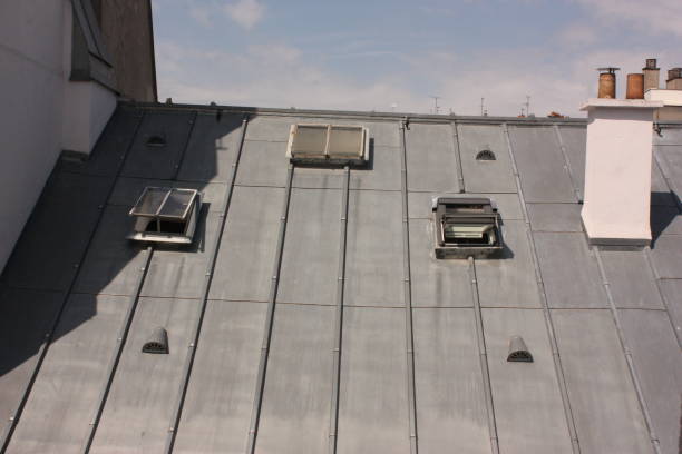 Un toit en zinc à Nanterre